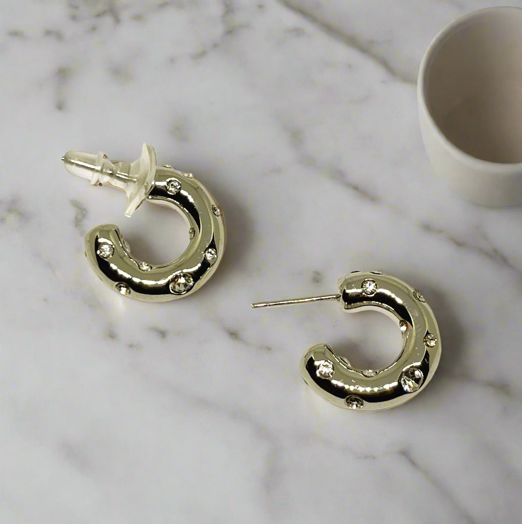 Diamond Hoop Everlove Earring